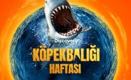 Köpekbalığı Haftası ile Discovery’de Nefes Kesen Macera!