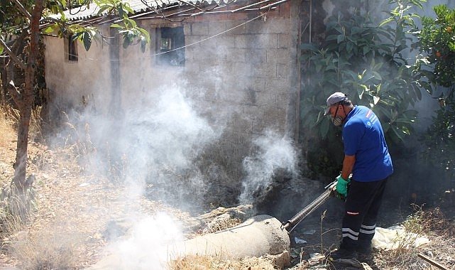 Antalya’nın tüm ilçelerinde haşereyle mücadele sürüyor