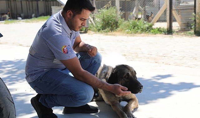 Efes Selçuk’ta “Satın Alma Sahiplen” Çağrısı
