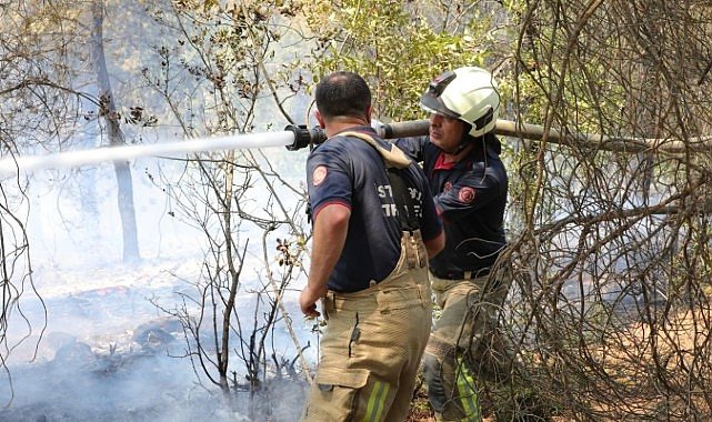İBB Ekipleri Sakarya ve Bilecik’te Yangınlarla Mücadele Ediyor