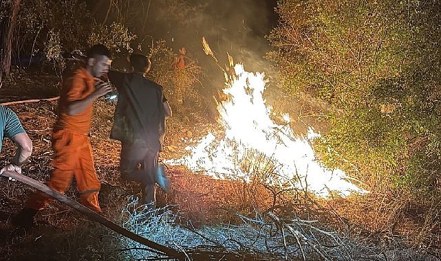 Kemer’de korkutan yangın