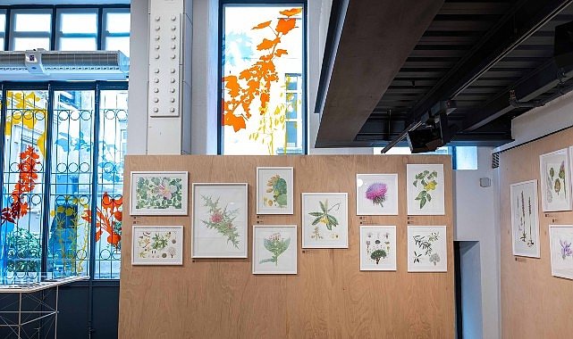 Salt Beyoğlu’ndaki Mutfak’ta devam eden “Anadolu’nun Bitki Mirası” sergi ekibinden Burçin Çıngay’ın rehberliğindeki turlarla yorumlamaya açılıyor.