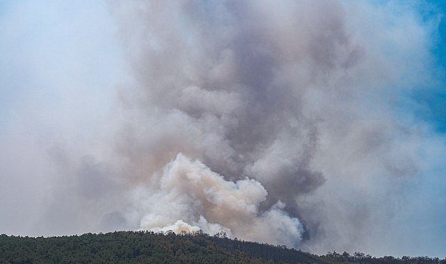 Üsküdar Belediyesi Eskişehir Yangınına Ekip Gönderdi