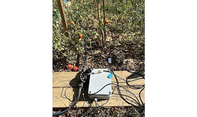 BİLGİ’li Öğrencilerden Su Tasarruflu Akıllı Sulama Sistemi