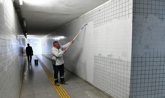 Çiğli’de Sonbahar Temizliği: Ağaç Budama ve Alt Geçit Yenileme