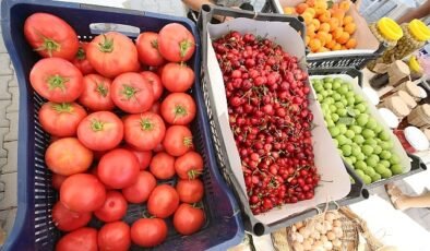 Efes Tarlası’nda Üretici Pazarı 19 Ekim’de Açılıyor