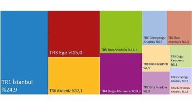 Türkiye’de Hanehalkı Harcamalarının Bölgesel Haritası Açıklandı